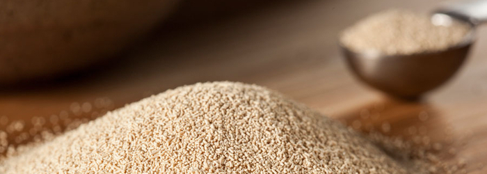 ¿Sabes cómo funciona la levadura? Descúbrelo en Europan