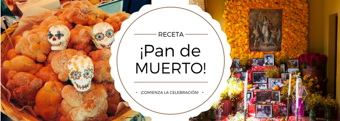 ¿Te gustaría hacer Pan de Muerto? ¡Sigue esta receta!